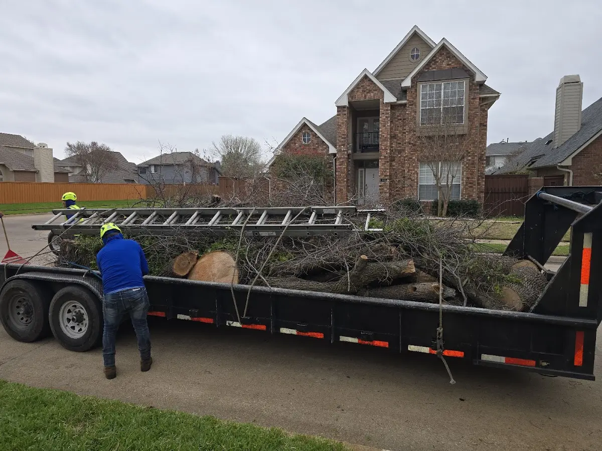 Expert Tree Fertilization with proper safety equipment in Udall